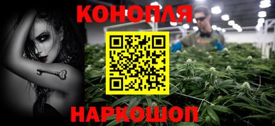 сатива Краснознаменск