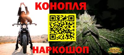 сатива Краснознаменск