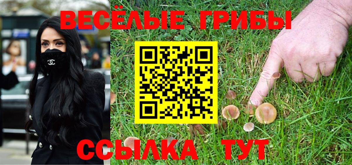 Галлюциногенные грибы GOLDEN TEACHER Кашира