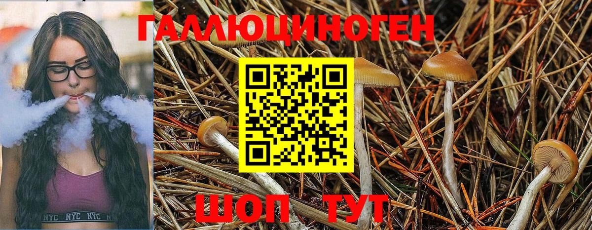 Кашира  Галлюциногенные грибы Psilocybe  Галлюциногенные грибы Magic Shrooms  Вход с VPN 